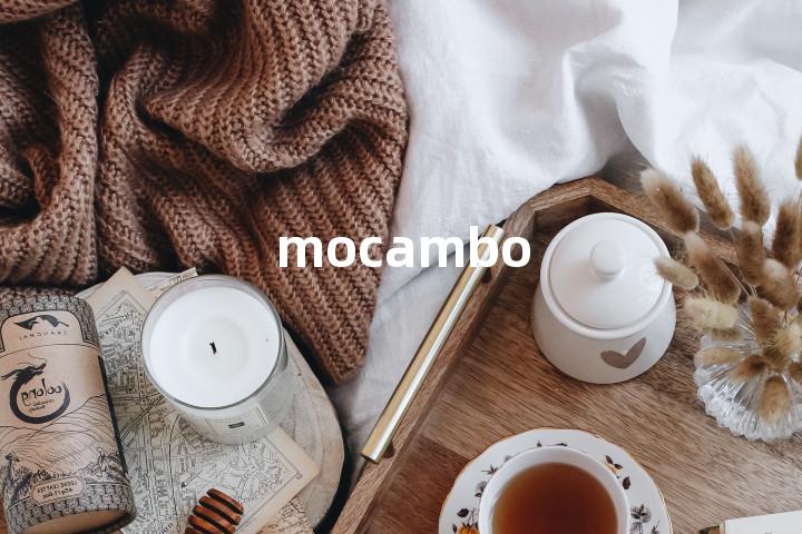 mocambo单词图解，单词释义场景配图