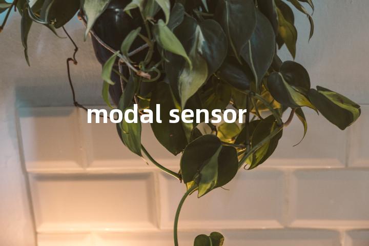 modal sensor单词图解，单词释义场景配图