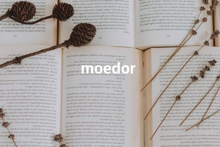 moedor单词图解，单词释义场景配图