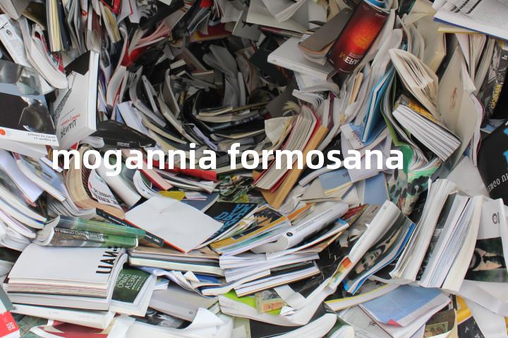 mogannia formosana单词图解，单词释义场景配图