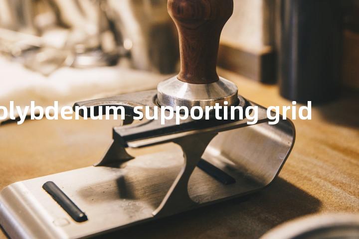 molybdenum supporting grid单词图解，单词释义场景配图