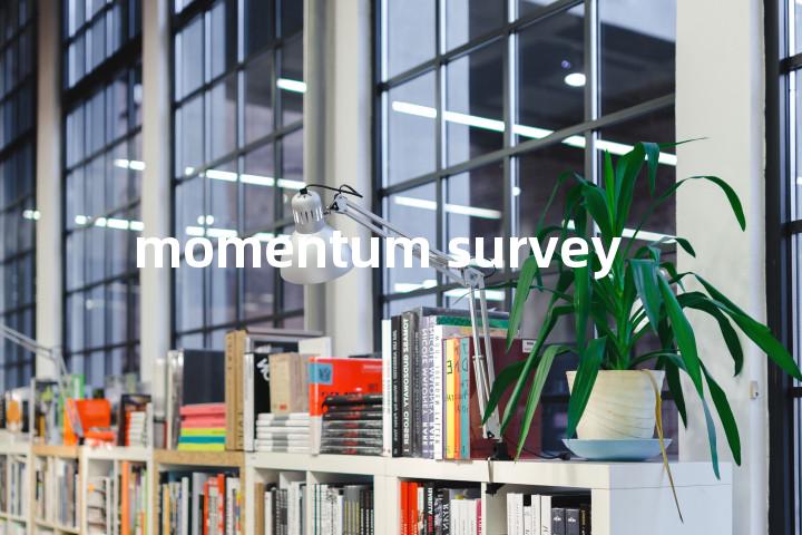 momentum survey单词图解，单词释义场景配图