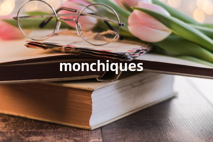monchiques单词图解，单词释义场景配图