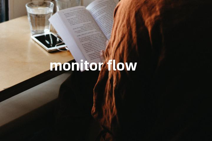 monitor flow单词图解，单词释义场景配图