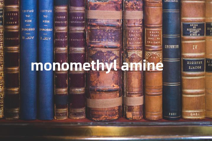 monomethyl amine单词图解，单词释义场景配图