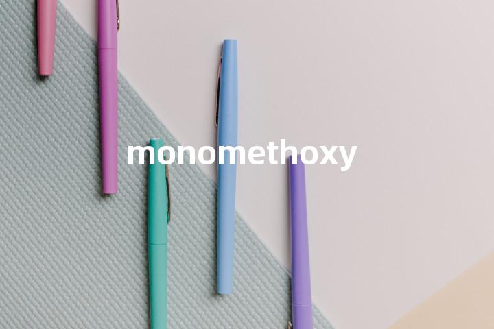 monomethoxy单词图解，单词释义场景配图