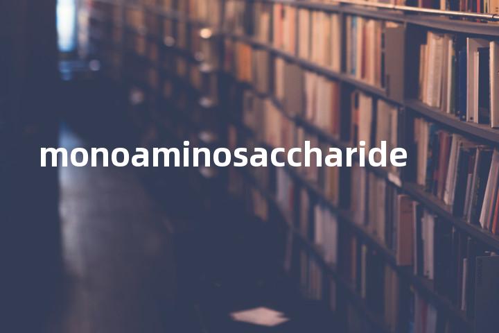 monoaminosaccharide单词图解，单词释义场景配图