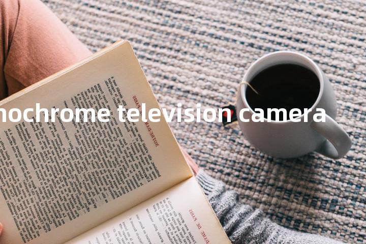monochrome television camera单词图解，单词释义场景配图