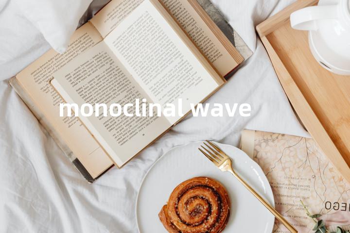 monoclinal wave单词图解，单词释义场景配图