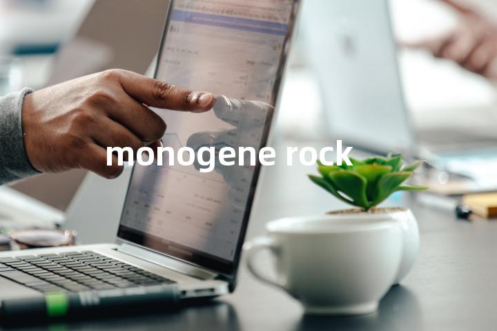 monogene rock单词图解，单词释义场景配图