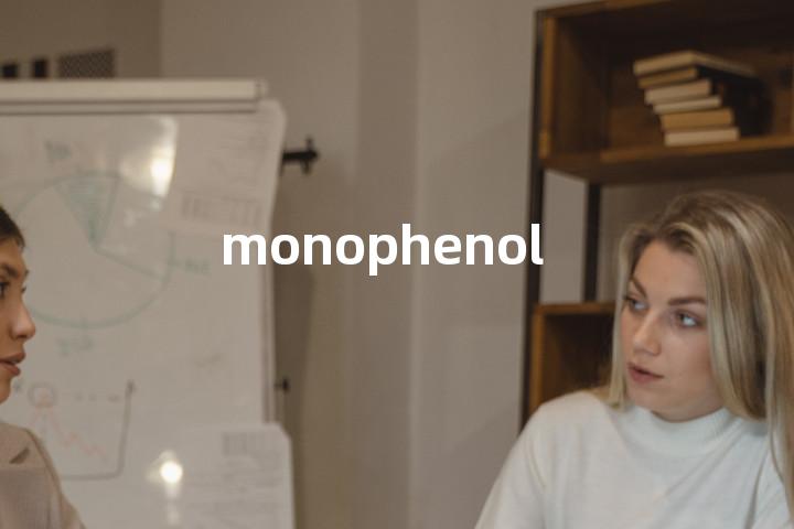 monophenol单词图解，单词释义场景配图