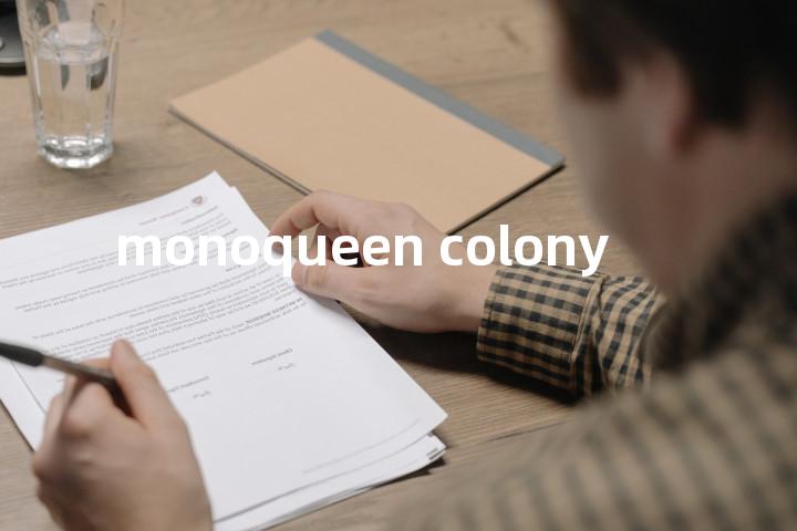 monoqueen colony单词图解，单词释义场景配图