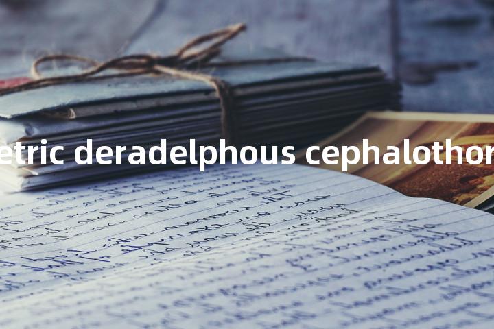 monosymmetric deradelphous cephalothoracopagus单词图解，单词释义场景配图