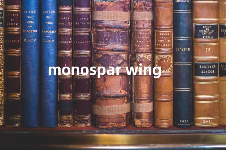 monospar wing单词图解，单词释义场景配图