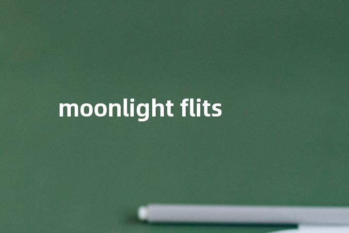 moonlight flits单词图解，单词释义场景配图