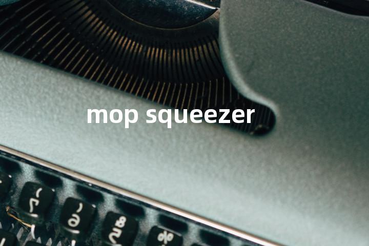 mop squeezer单词图解，单词释义场景配图