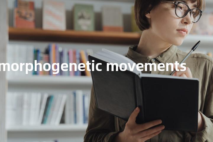 morphogenetic movements单词图解，单词释义场景配图