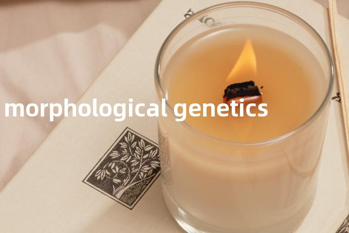 morphological genetics单词图解，单词释义场景配图