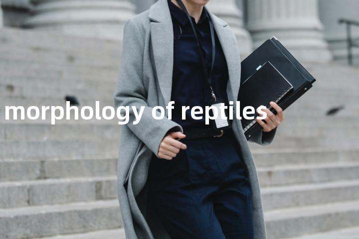 morphology of reptiles单词图解，单词释义场景配图