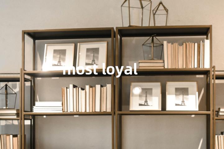 most loyal单词图解，单词释义场景配图