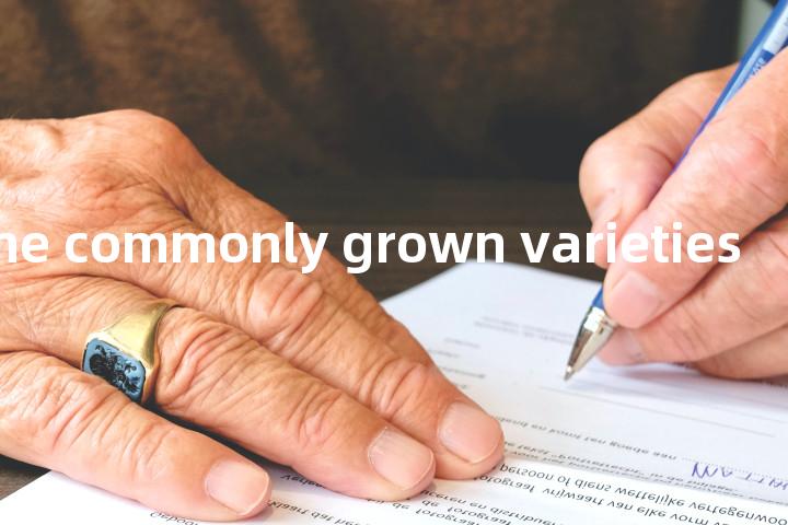 most of the commonly grown varieties单词图解，单词释义场景配图