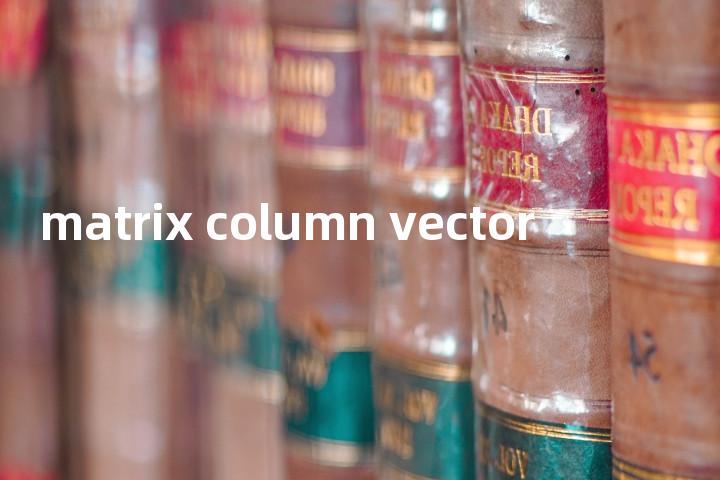 matrix column vector单词图解，单词释义场景配图