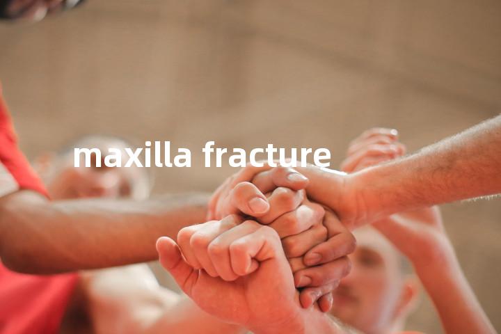 maxilla fracture单词图解，单词释义场景配图