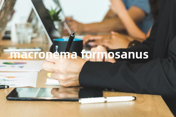 macronema formosanus单词图解，单词释义场景配图