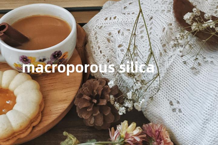 macroporous silica单词图解，单词释义场景配图