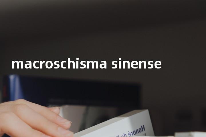 macroschisma sinense单词图解，单词释义场景配图