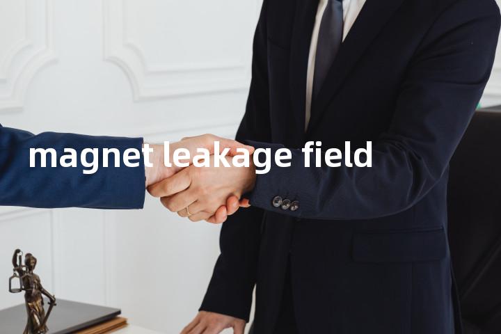 magnet leakage field单词图解，单词释义场景配图
