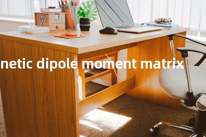 magnetic dipole moment matrix单词图解，单词释义场景配图