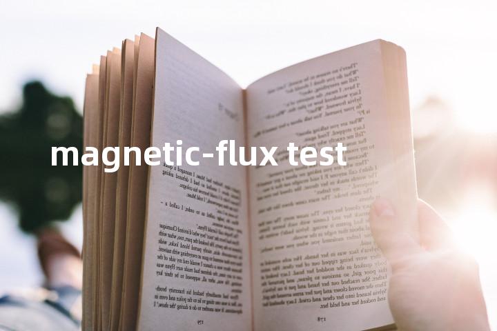 magnetic-flux test单词图解，单词释义场景配图
