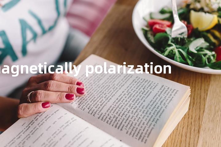 magnetically polarization单词图解，单词释义场景配图