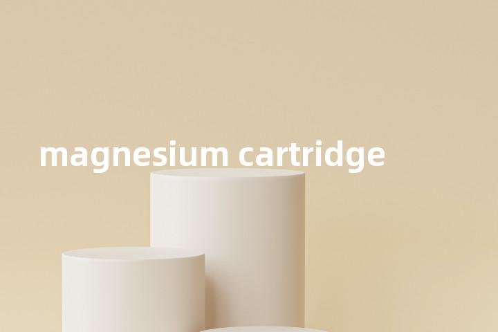magnesium cartridge单词图解，单词释义场景配图