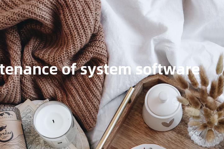 maintenance of system software单词图解，单词释义场景配图