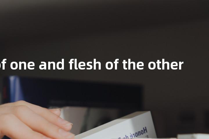 make fish of one and flesh of the other单词图解，单词释义场景配图