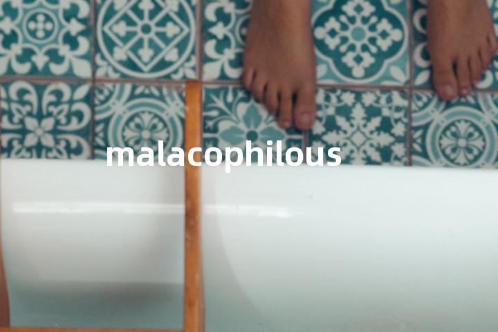 malacophilous单词图解，单词释义场景配图