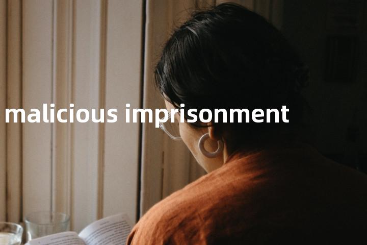 malicious imprisonment单词图解，单词释义场景配图