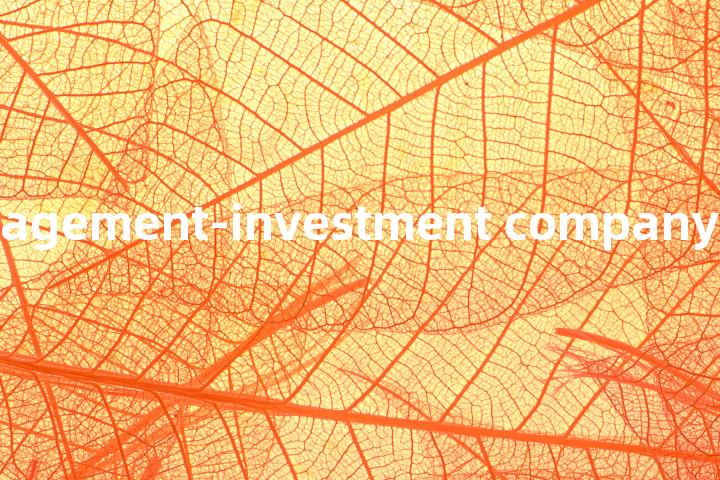 management-investment company单词图解，单词释义场景配图