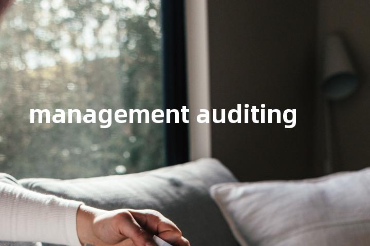 management auditing单词图解，单词释义场景配图