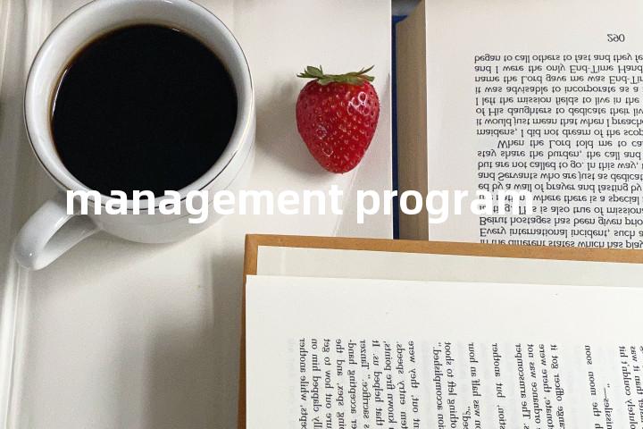 management program单词图解，单词释义场景配图