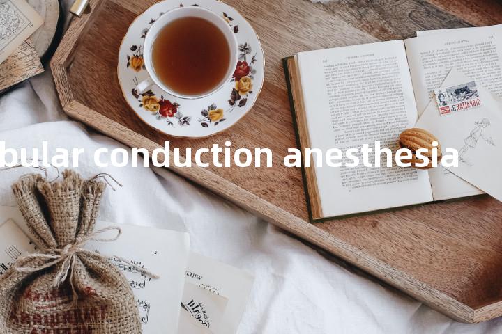 mandibular conduction anesthesia单词图解，单词释义场景配图
