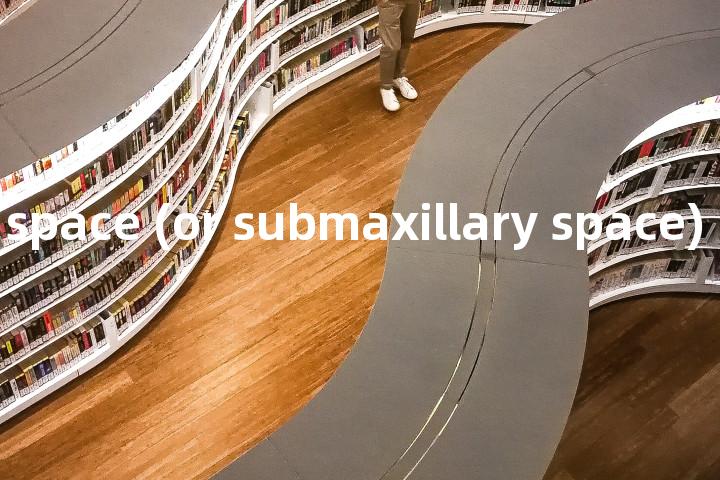 mandibular space (or submaxillary space)单词图解，单词释义场景配图