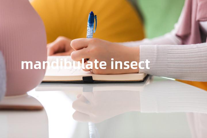 mandibulate insect单词图解，单词释义场景配图