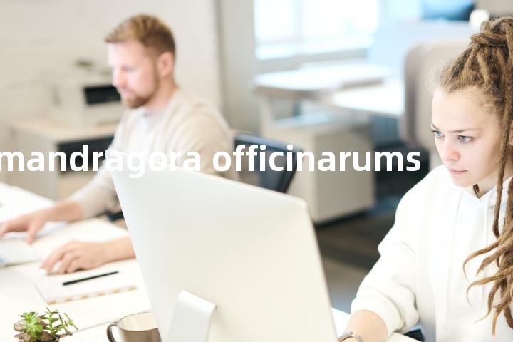 mandragora officinarums单词图解，单词释义场景配图