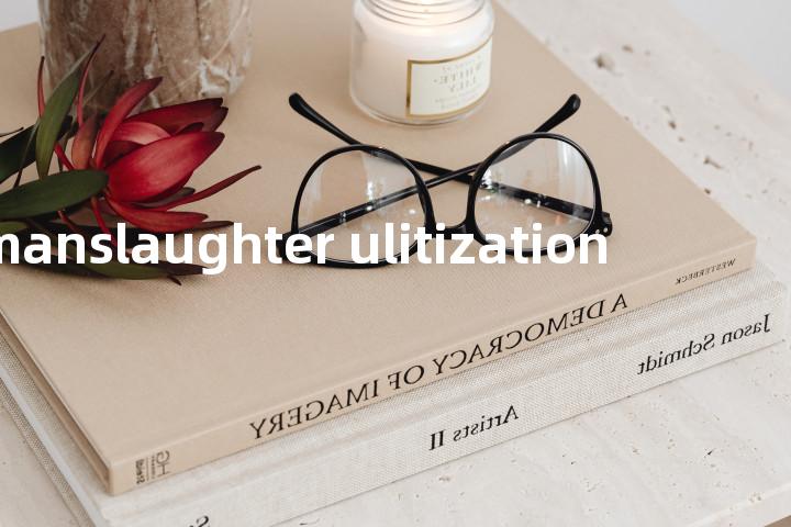 manslaughter ulitization单词图解，单词释义场景配图