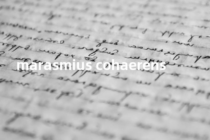 marasmius cohaerens单词图解，单词释义场景配图
