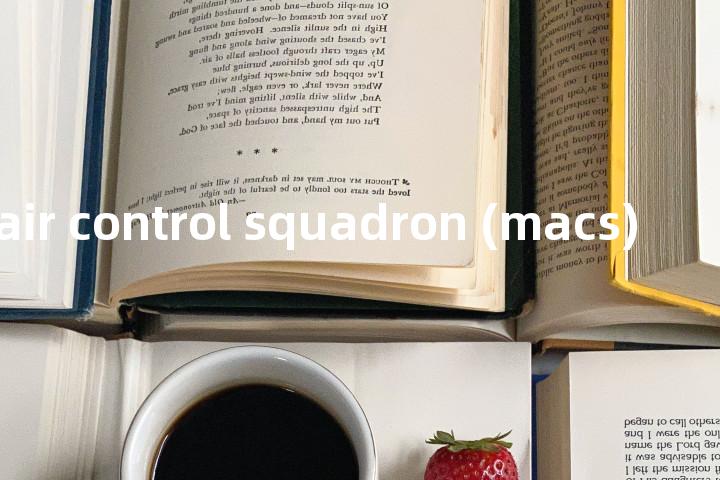 marine air control squadron (macs)单词图解，单词释义场景配图