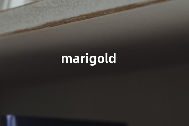 marigold单词图解，单词释义场景配图